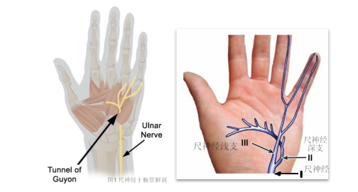 <a href='http://m.globaltechresearch.com/' target='_blank'><u>徐州仁慈醫(yī)院</u></a>